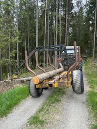 IMG_7740.JPEG IMG_7740.JPEG